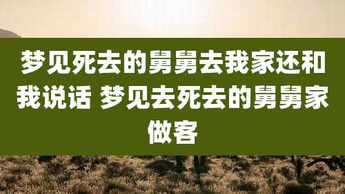 梦见死去的舅舅去我家还和我说话 梦见去死去的舅舅家做客