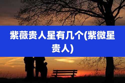 紫薇贵人星有几个(紫微星贵人)