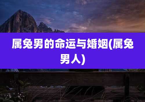属兔男的命运与婚姻(属兔男人)