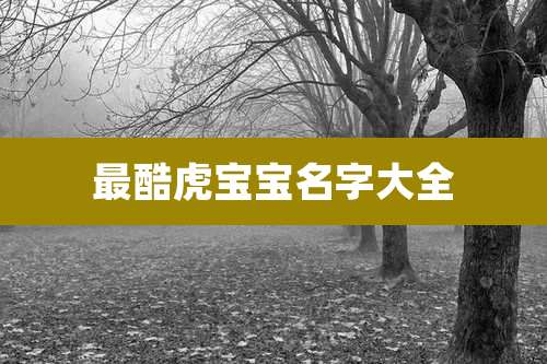 最酷虎宝宝名字大全