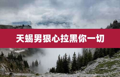 天蝎男狠心拉黑你一切