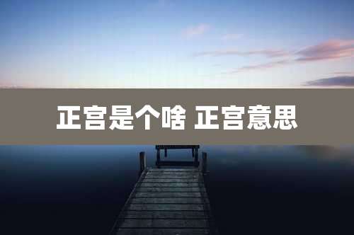 正宫是个啥 正宫意思
