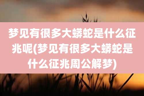 梦见有很多大蟒蛇是什么征兆呢(梦见有很多大蟒蛇是什么征兆周公解梦)