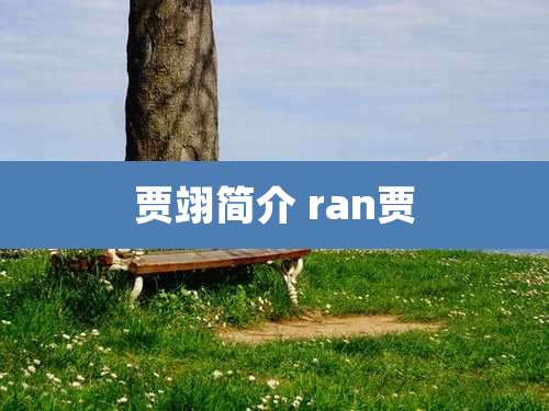 贾翊简介 ran贾