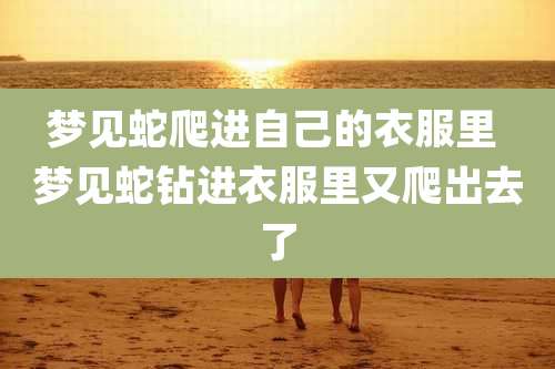 梦见蛇爬进自己的衣服里 梦见蛇钻进衣服里又爬出去了