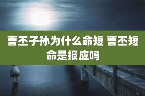 曹丕子孙为什么命短 曹丕短命是报应吗