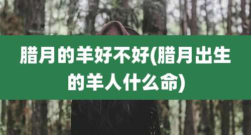 腊月的羊好不好(腊月出生的羊人什么命)