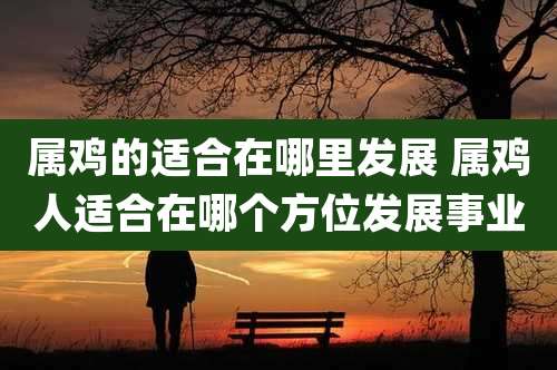 属鸡的适合在哪里发展 属鸡人适合在哪个方位发展事业