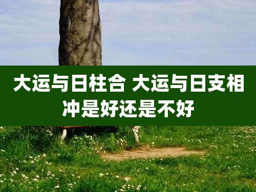 大运与日柱合 大运与日支相冲是好还是不好