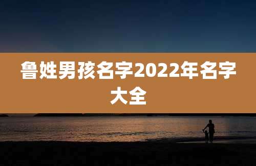 鲁姓男孩名字2022年名字大全