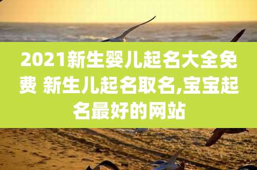2021新生婴儿起名大全免费 新生儿起名取名,宝宝起名最好的网站