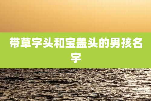 带草字头和宝盖头的男孩名字