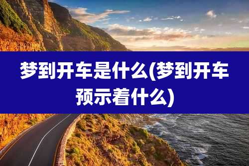 梦到开车是什么(梦到开车预示着什么)