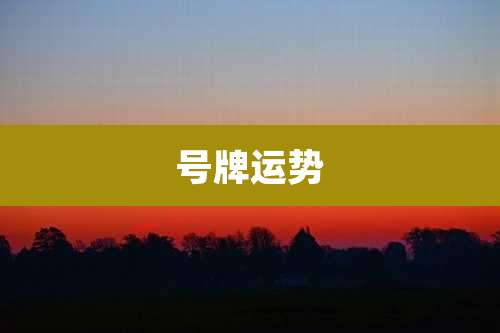号牌运势
