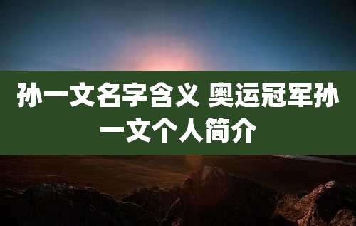 孙一文名字含义 奥运冠军孙一文个人简介