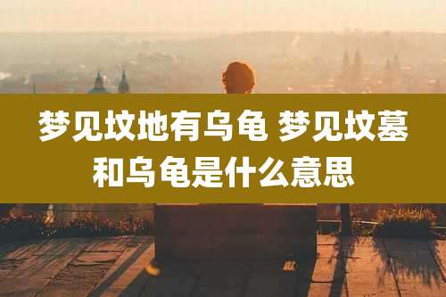 梦见坟地有乌龟 梦见坟墓和乌龟是什么意思