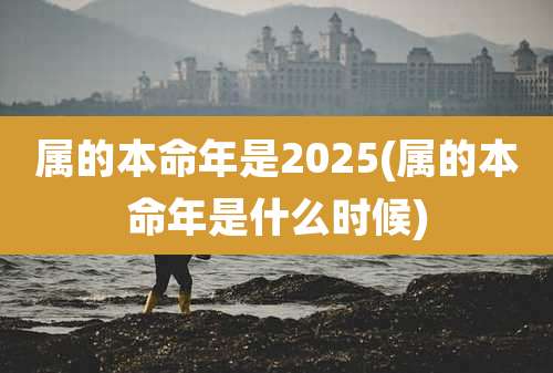 属的本命年是2025(属的本命年是什么时候)