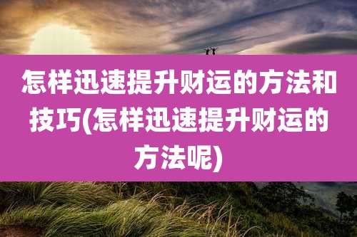 怎样迅速提升财运的方法和技巧(怎样迅速提升财运的方法呢)