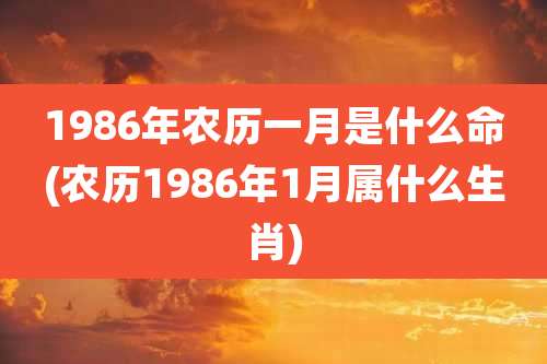 1986年农历一月是什么命(农历1986年1月属什么生肖)