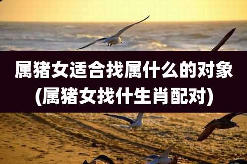 属猪女适合找属什么的对象(属猪女找什生肖配对)