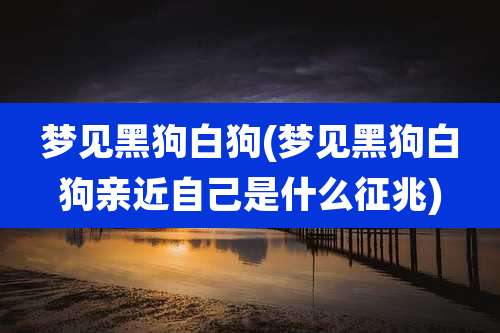 梦见黑狗白狗(梦见黑狗白狗亲近自己是什么征兆)