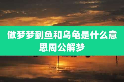 做梦梦到鱼和乌龟是什么意思周公解梦