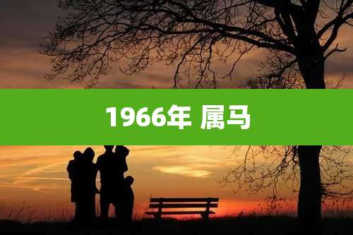 1966年 属马