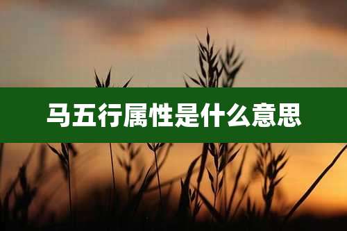 马五行属性是什么意思
