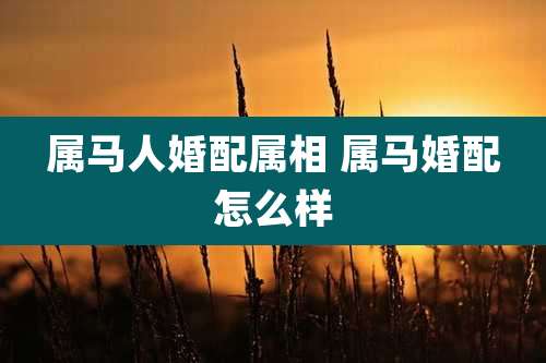 属马人婚配属相 属马婚配怎么样