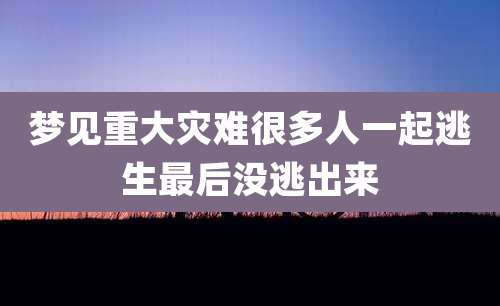 梦见重大灾难很多人一起逃生最后没逃出来