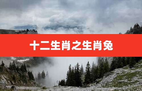 十二生肖之生肖兔