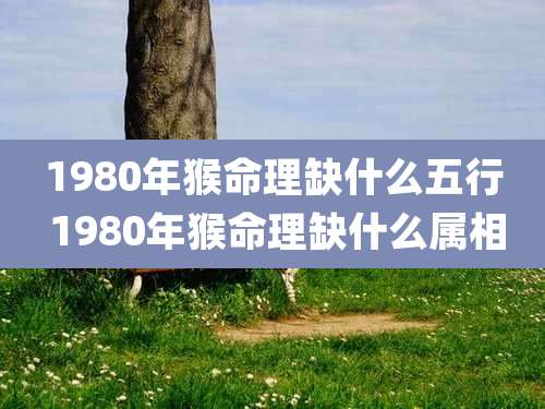1980年猴命理缺什么五行 1980年猴命理缺什么属相