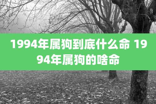 1994年属狗到底什么命 1994年属狗的啥命