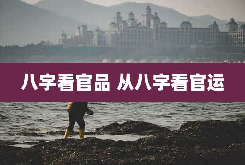 八字看官品 从八字看官运