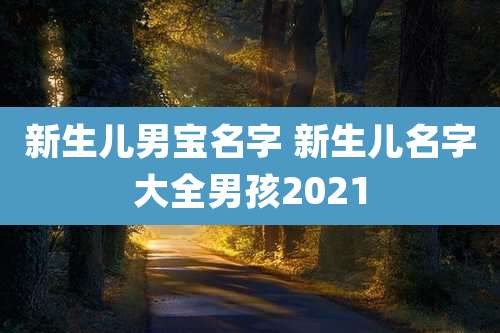 新生儿男宝名字 新生儿名字大全男孩2021