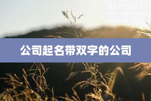 公司起名带双字的公司