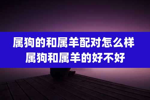 属狗的和属羊配对怎么样 属狗和属羊的好不好