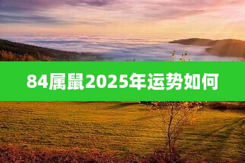84属鼠2025年运势如何