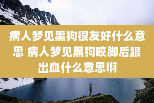 病人梦见黑狗很友好什么意思 病人梦见黑狗咬脚后跟出血什么意思啊