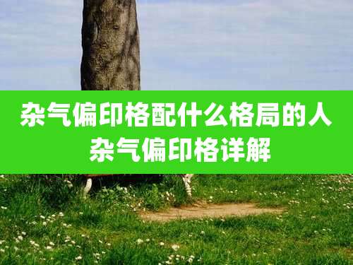 杂气偏印格配什么格局的人 杂气偏印格详解