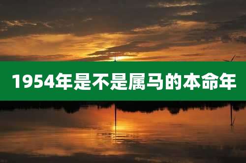 1954年是不是属马的本命年