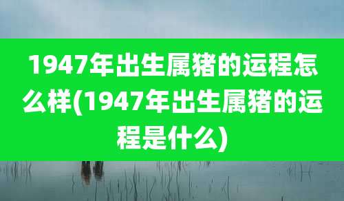 1947年出生属猪的运程怎么样(1947年出生属猪的运程是什么)