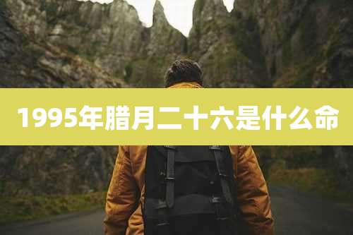 1995年腊月二十六是什么命
