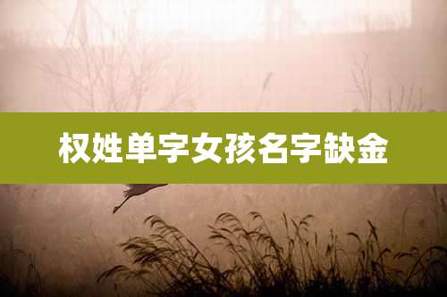 权姓单字女孩名字缺金