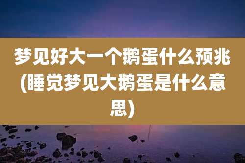 梦见好大一个鹅蛋什么预兆(睡觉梦见大鹅蛋是什么意思)