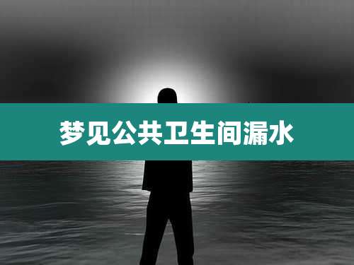 梦见公共卫生间漏水