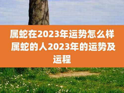 属蛇在2023年运势怎么样 属蛇的人2023年的运势及运程