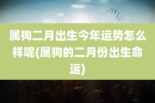 属狗二月出生今年运势怎么样呢(属狗的二月份出生命运)