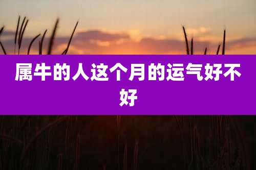 属牛的人这个月的运气好不好