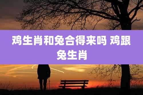 鸡生肖和兔合得来吗 鸡跟兔生肖